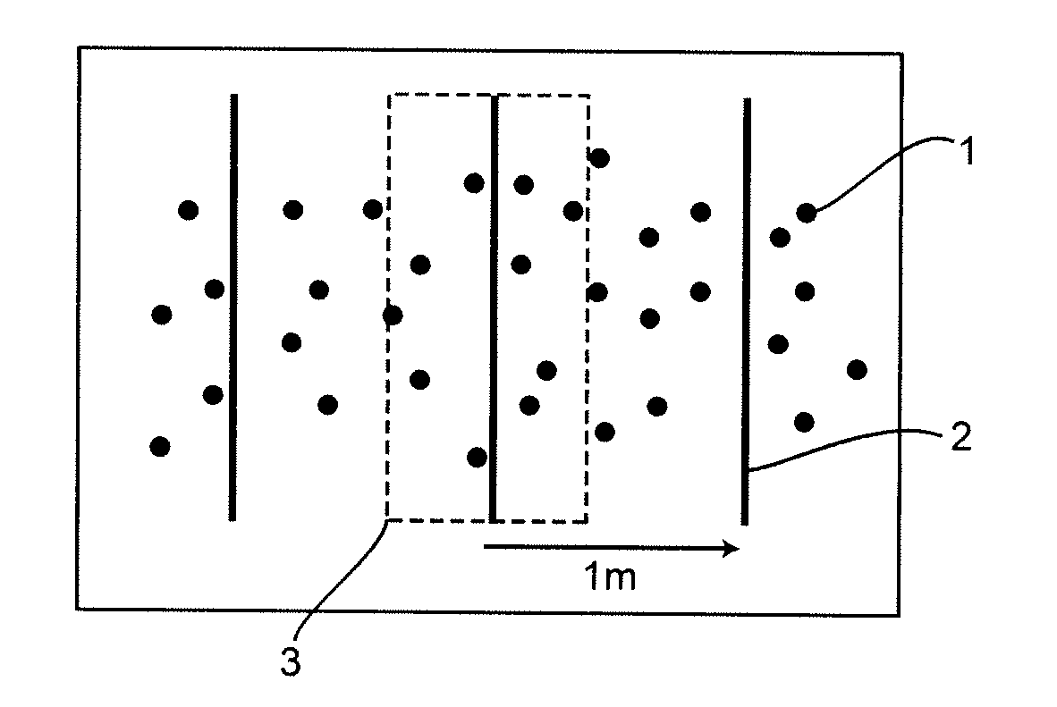 Method for determining a highly accurate position of routes and/or objects