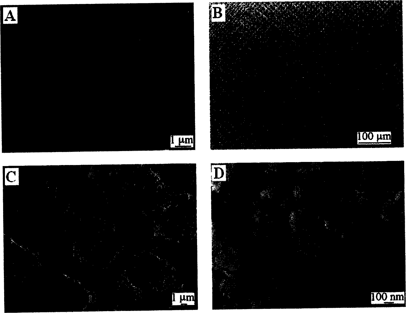 Soakage reversibly variable temperature-responsive copolymer film preparation method