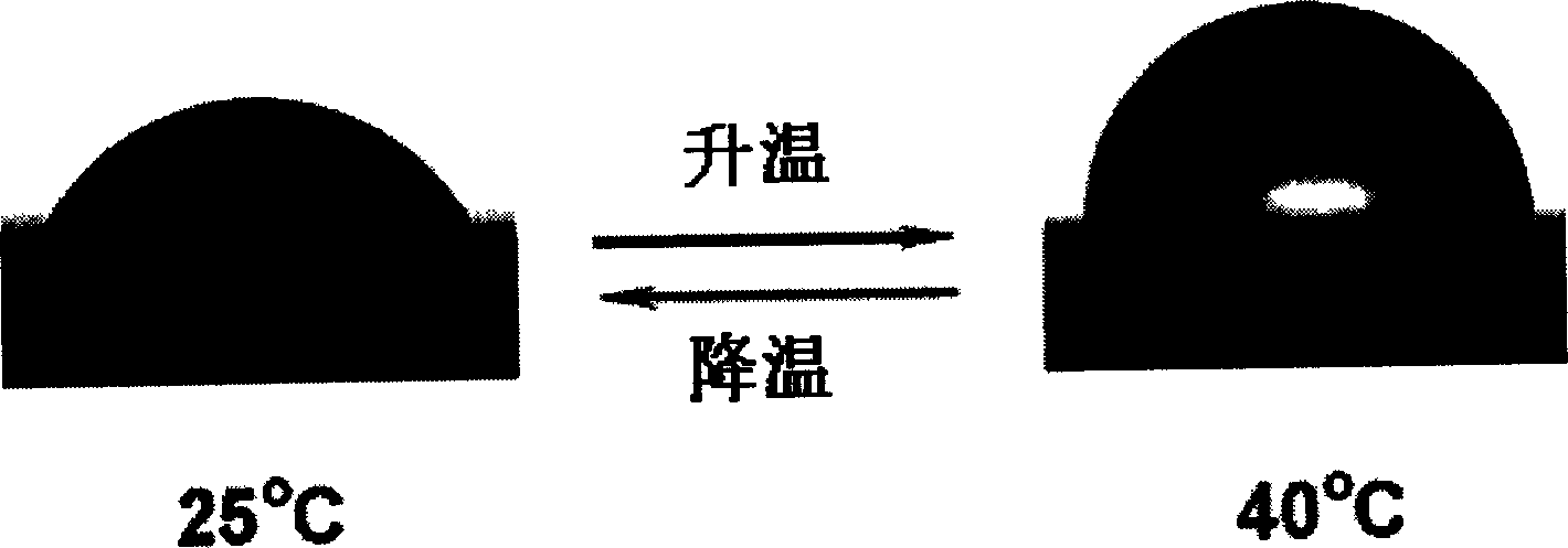 Soakage reversibly variable temperature-responsive copolymer film preparation method