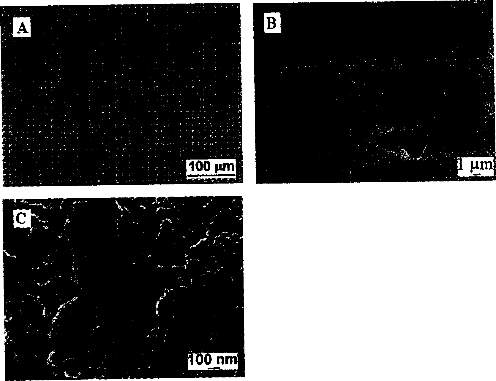 Soakage reversibly variable temperature-responsive copolymer film preparation method