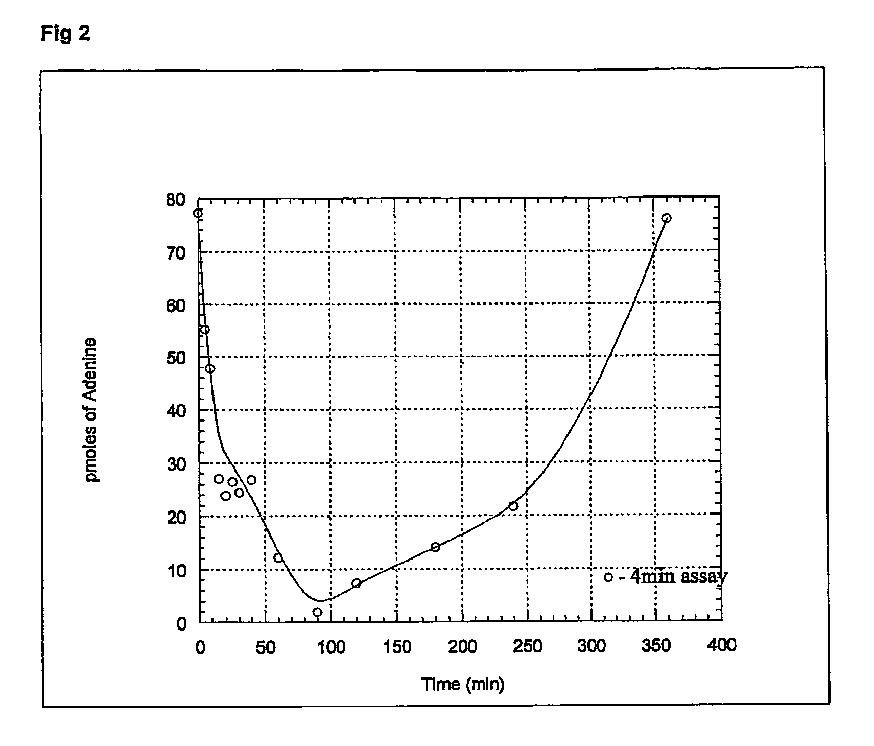 Inhibitors of nucleoside phoshorylases and nucleosidases