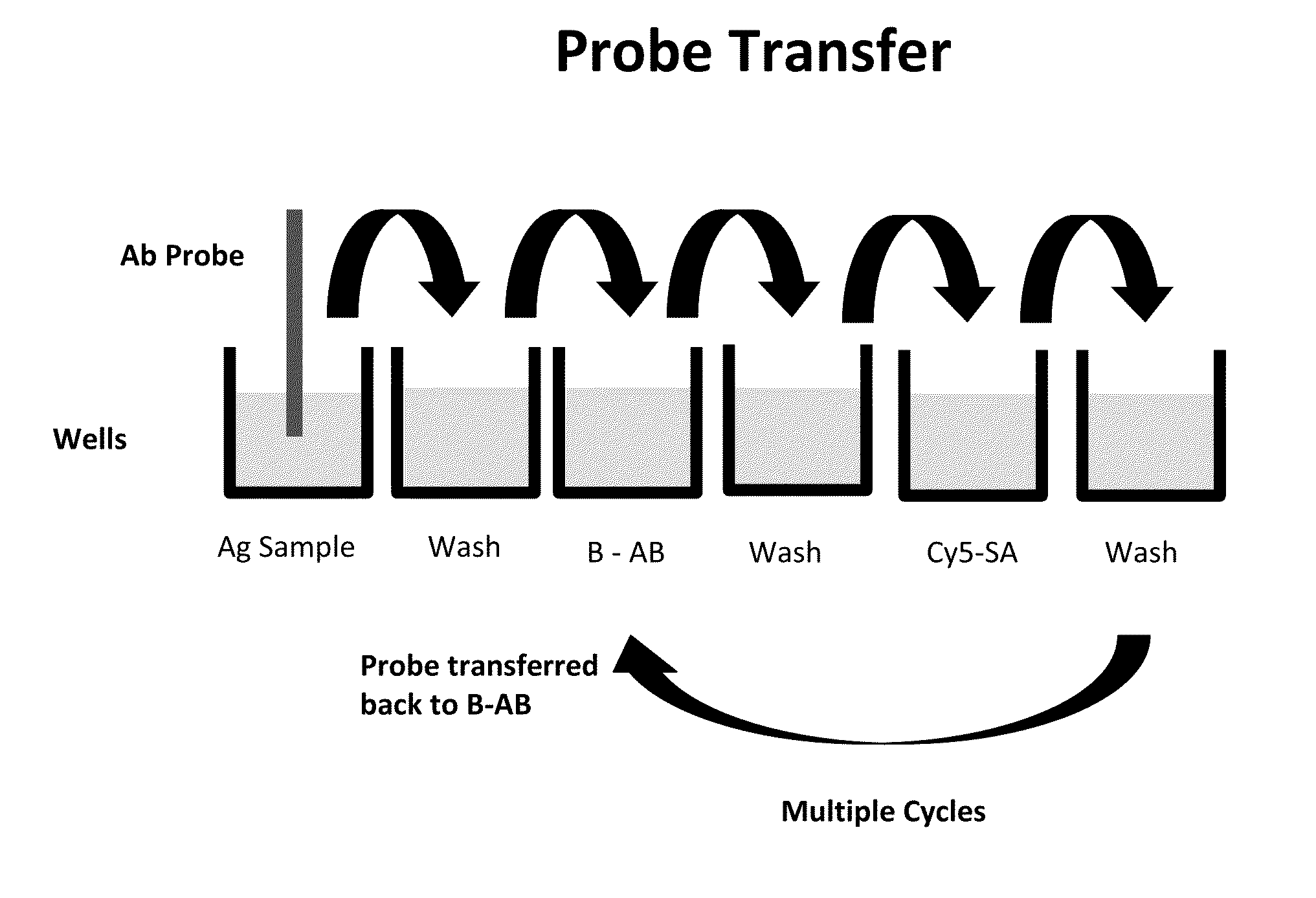 Luminescent polymer cyclic amplification