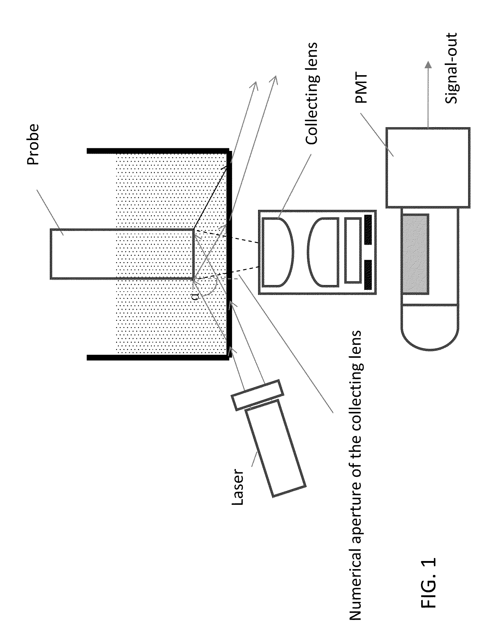 Luminescent polymer cyclic amplification