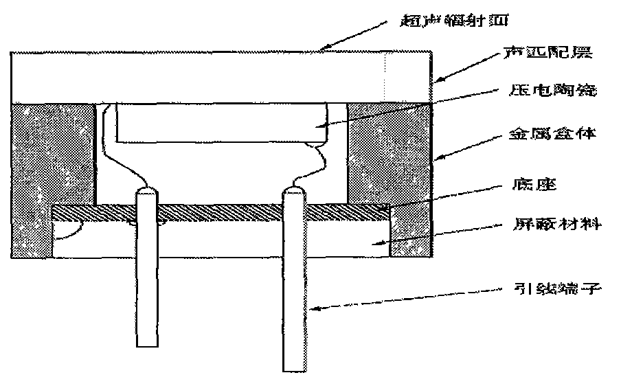 Laser ultrasonic detection system and detection method thereof