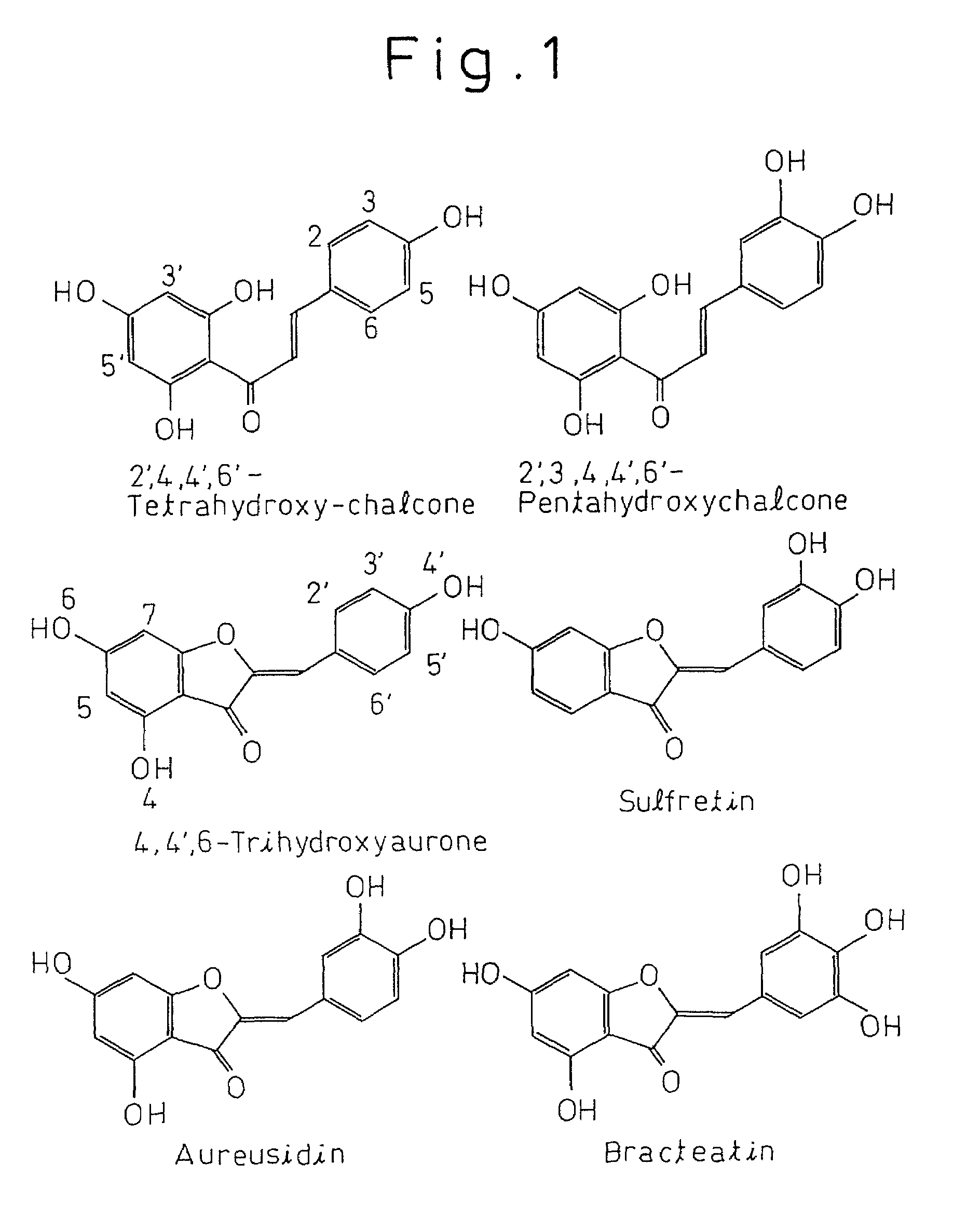 Gene encoding protein having aurone synthesizing activity