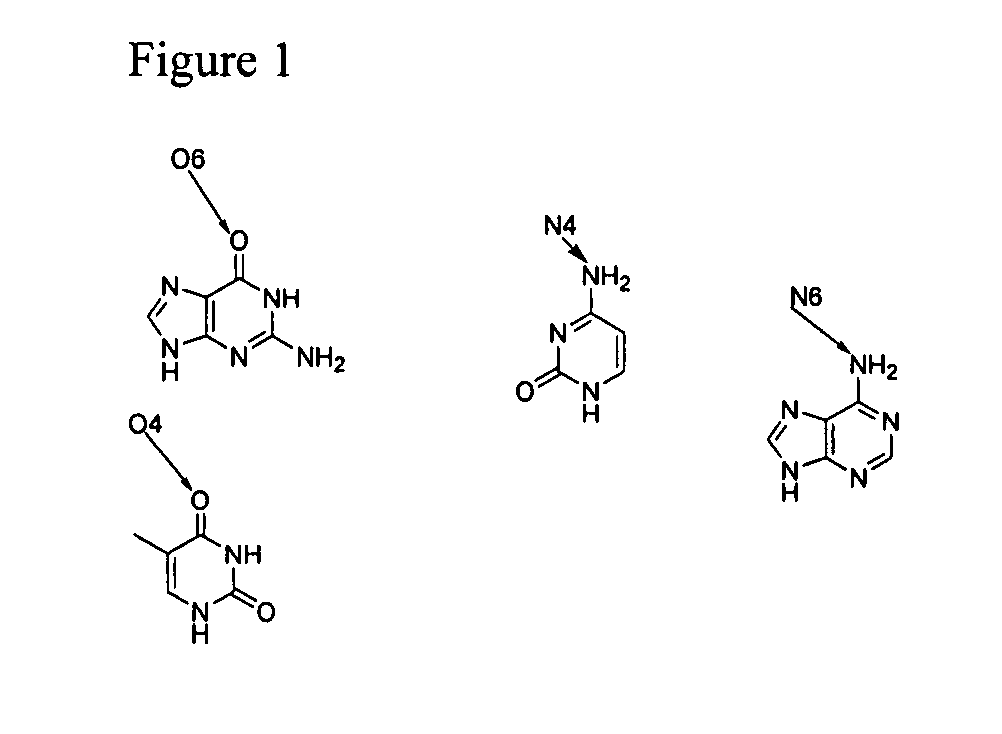 Nucleotide analogs