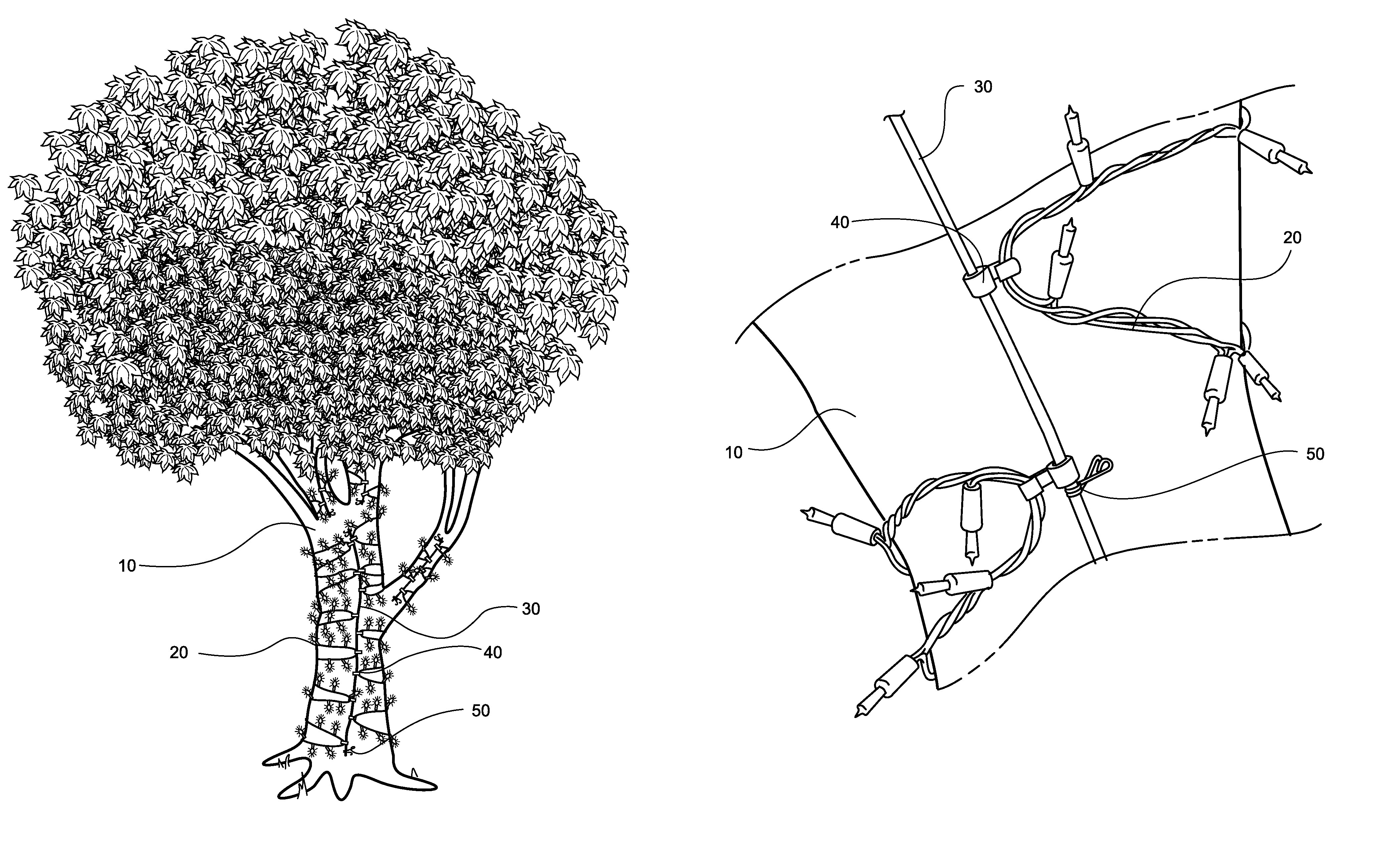 Christmas light display apparatus