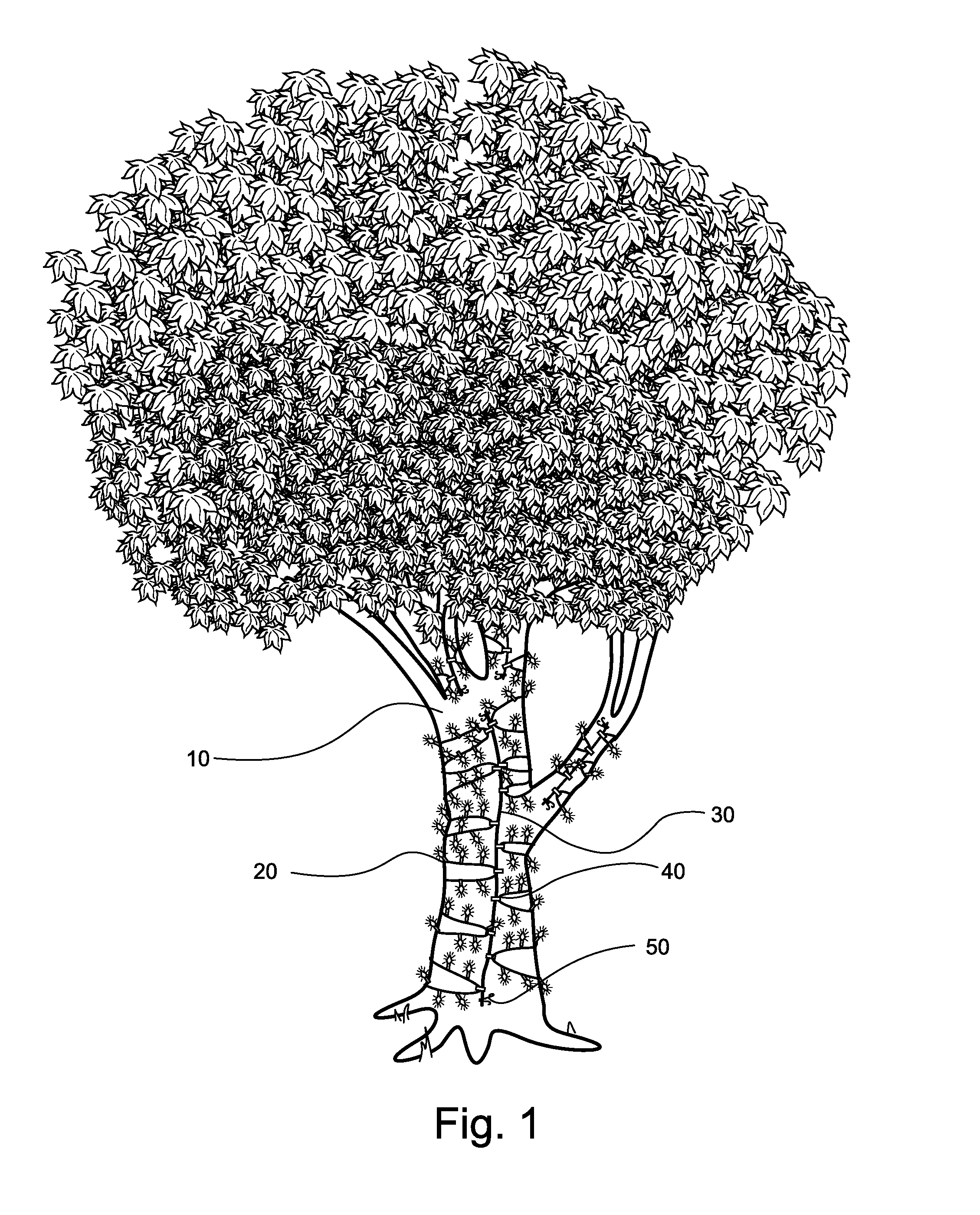 Christmas light display apparatus