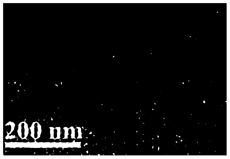 Preparation method of tin nanoparticles and lithium ion battery negative electrode material