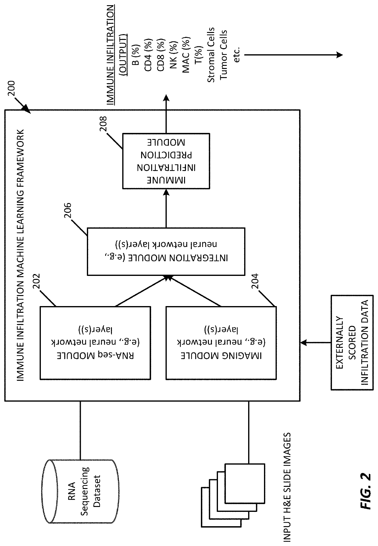 Multi-modal approach to predicting immune infiltration based on integrated RNA expression and imaging features