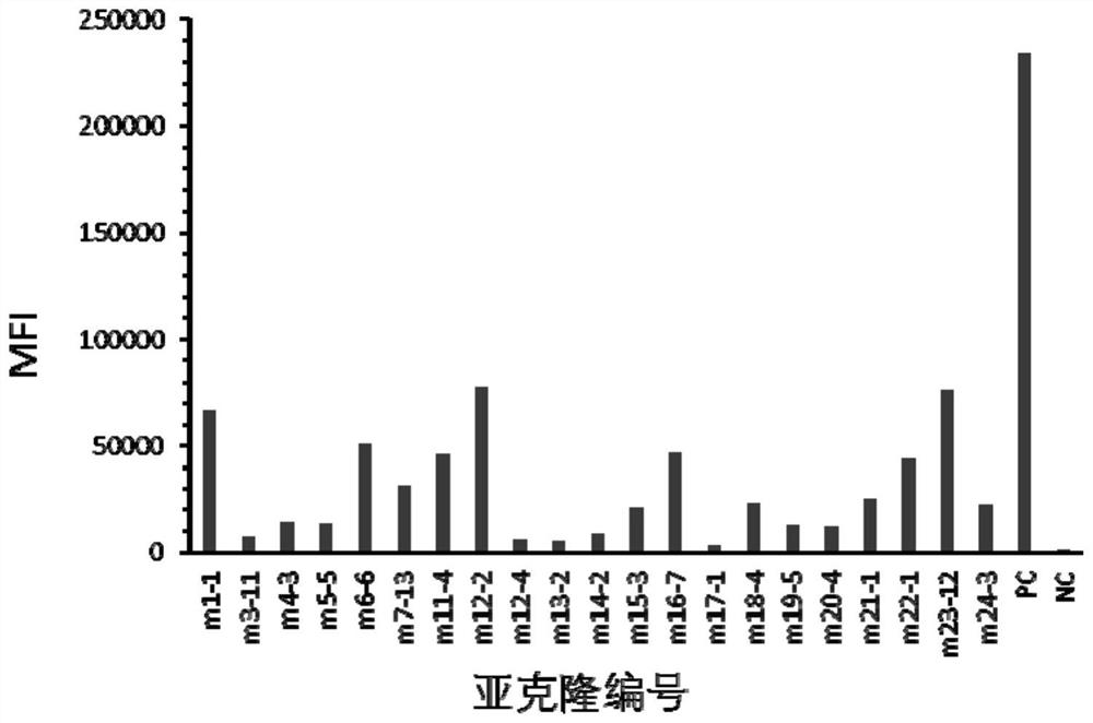 Anti-human Trop-2 antibody and application thereof