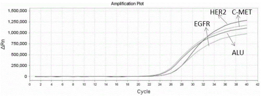 Probe preparation method for multi-gene capture sequencing