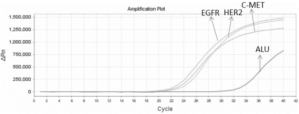 Probe preparation method for multi-gene capture sequencing