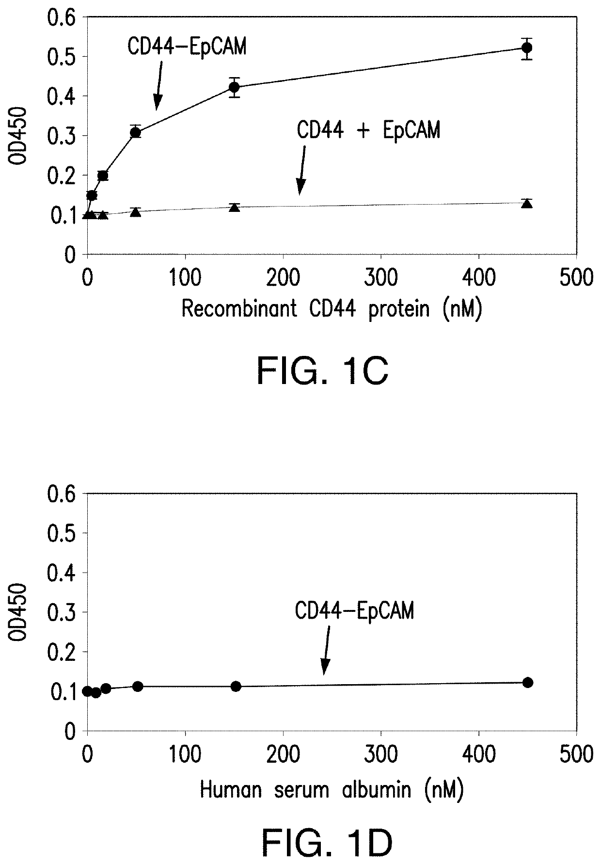 Bispecific Aptamer for Treating Cancer