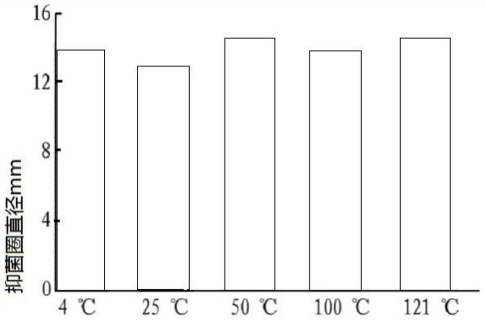 Lactobacillus plantarum and application thereof to pet dog food