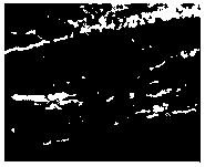 Plastic foam material and preparation method thereof