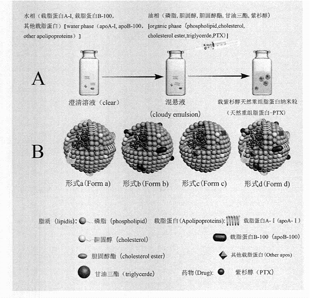 Preparation technology and application of natural recombinant nanostructured lipid carrier