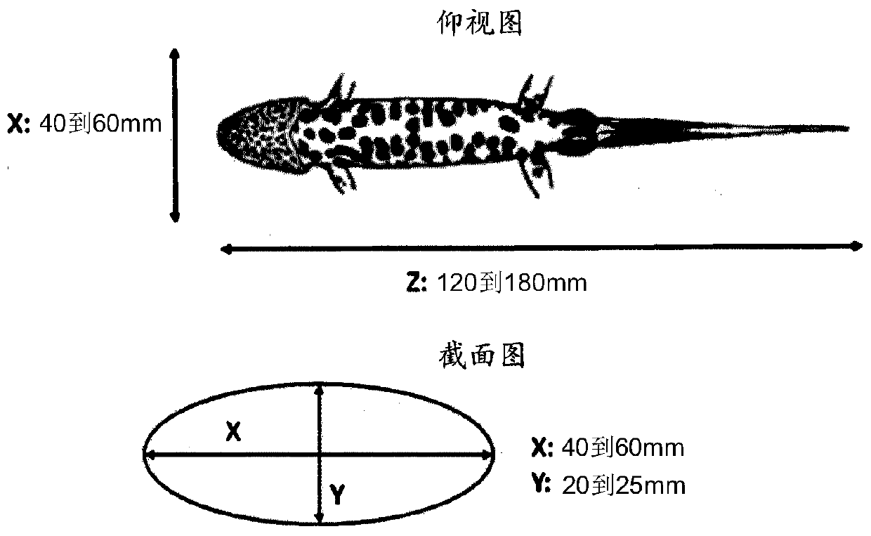 Video camera trap for ecological research