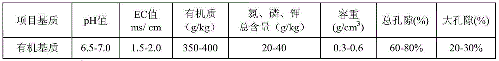 Method for grating potted seedling cultivation of watermelon in summer