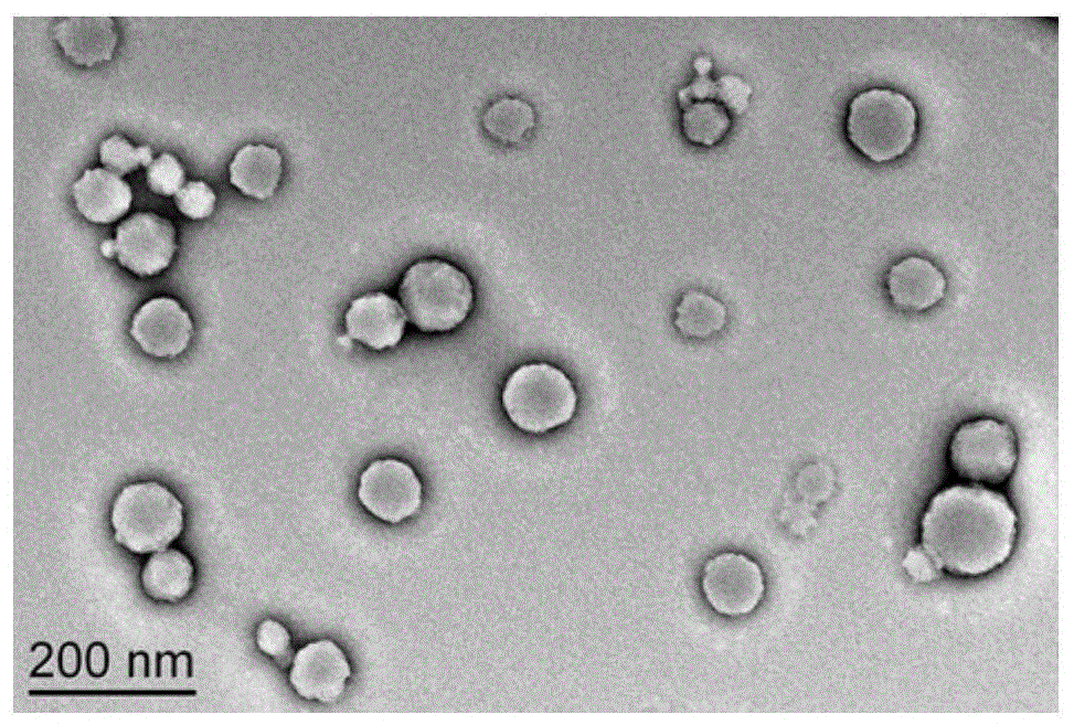 Canine interferon α particle complex and its preparation method and application