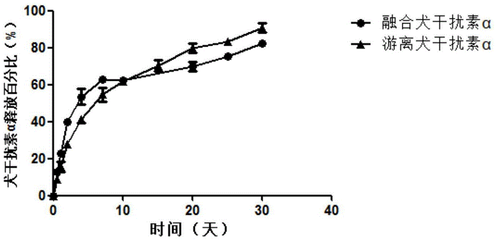 Canine interferon α particle complex and its preparation method and application