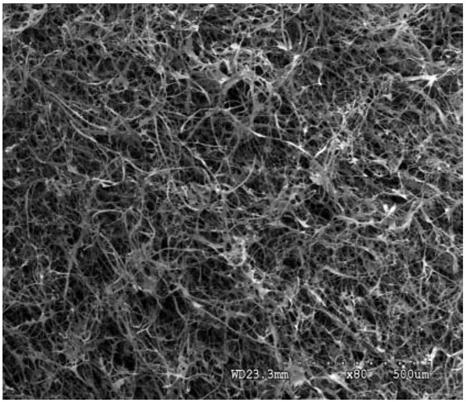 Collagen material for promoting stem cell expansion and stemness maintenance and preparation method thereof