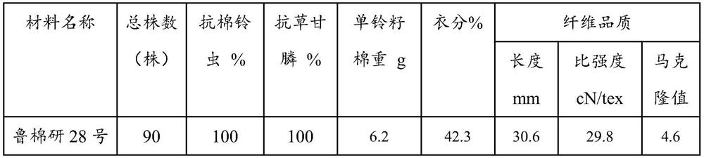 Method for cultivating new transgenic insect-resistant glyphosate-resistant cotton strain