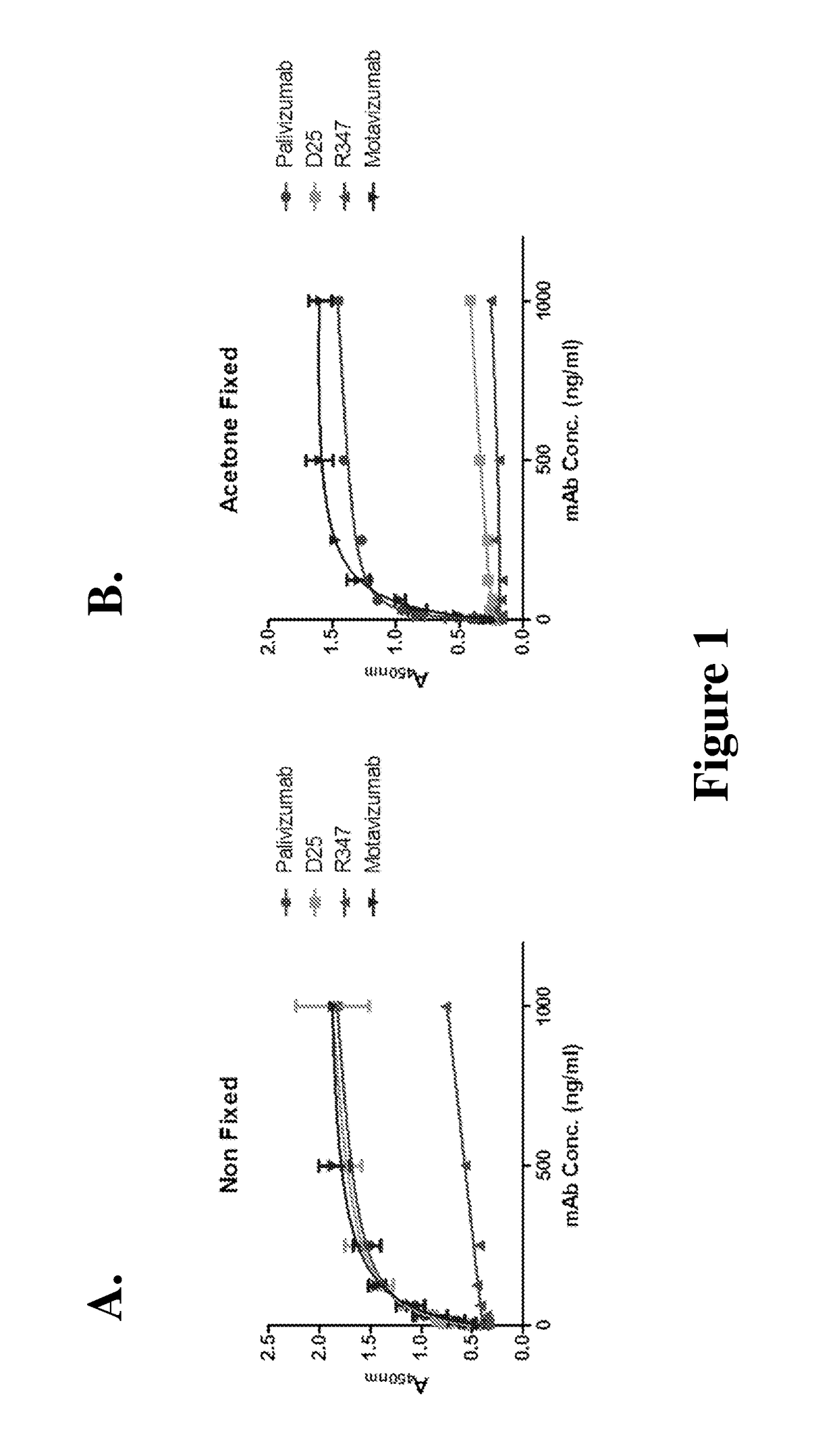 Respiratory syncytial virus F protein epitopes