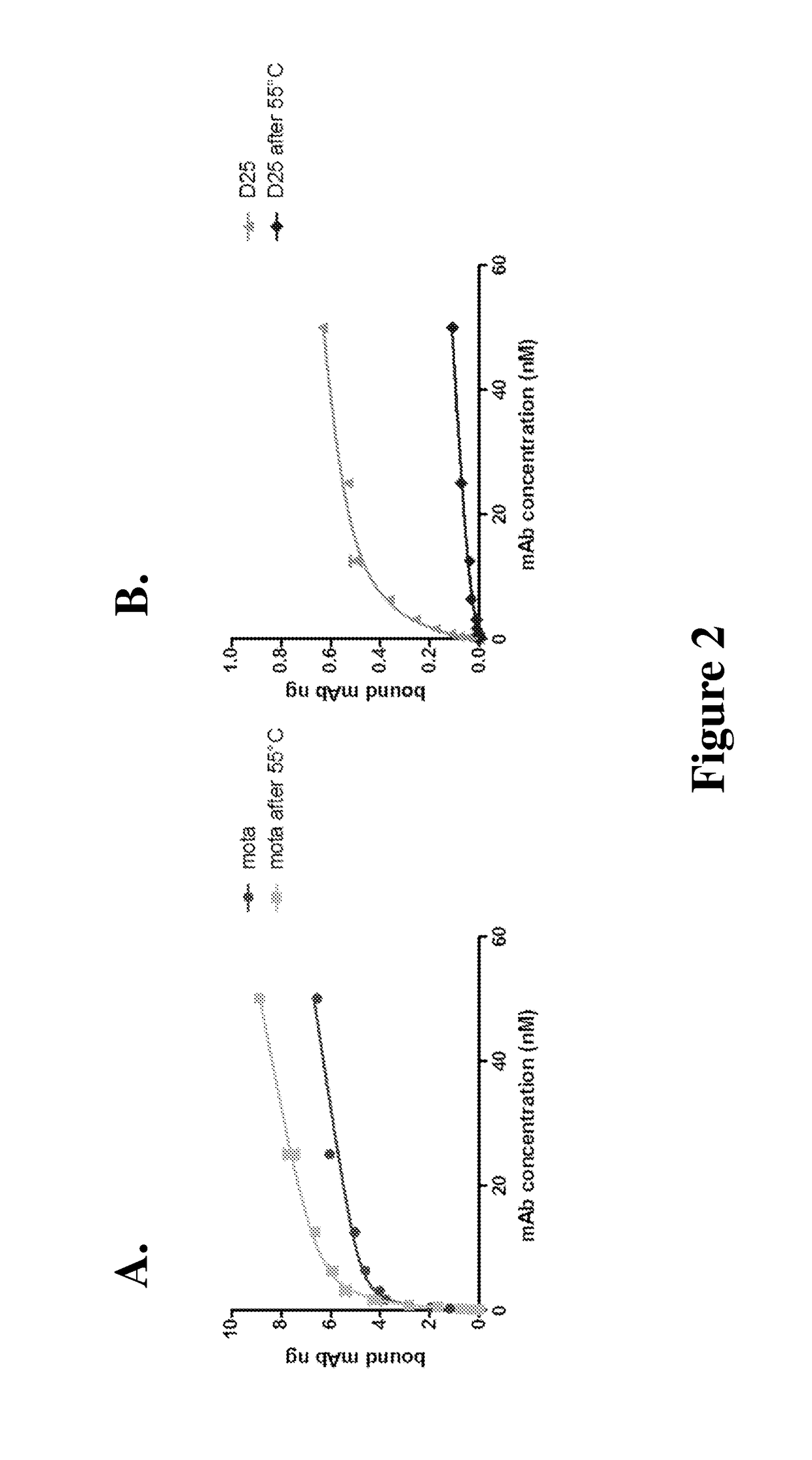 Respiratory syncytial virus F protein epitopes