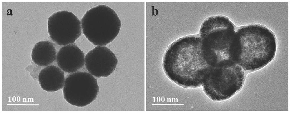 A kind of single light-activated nanoparticle and its preparation method and application