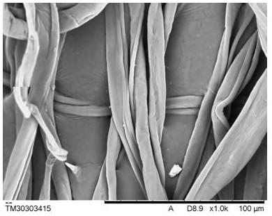 Supercritical CO2 fluid flash explosion treatment method of natural fibers and products of natural fibers