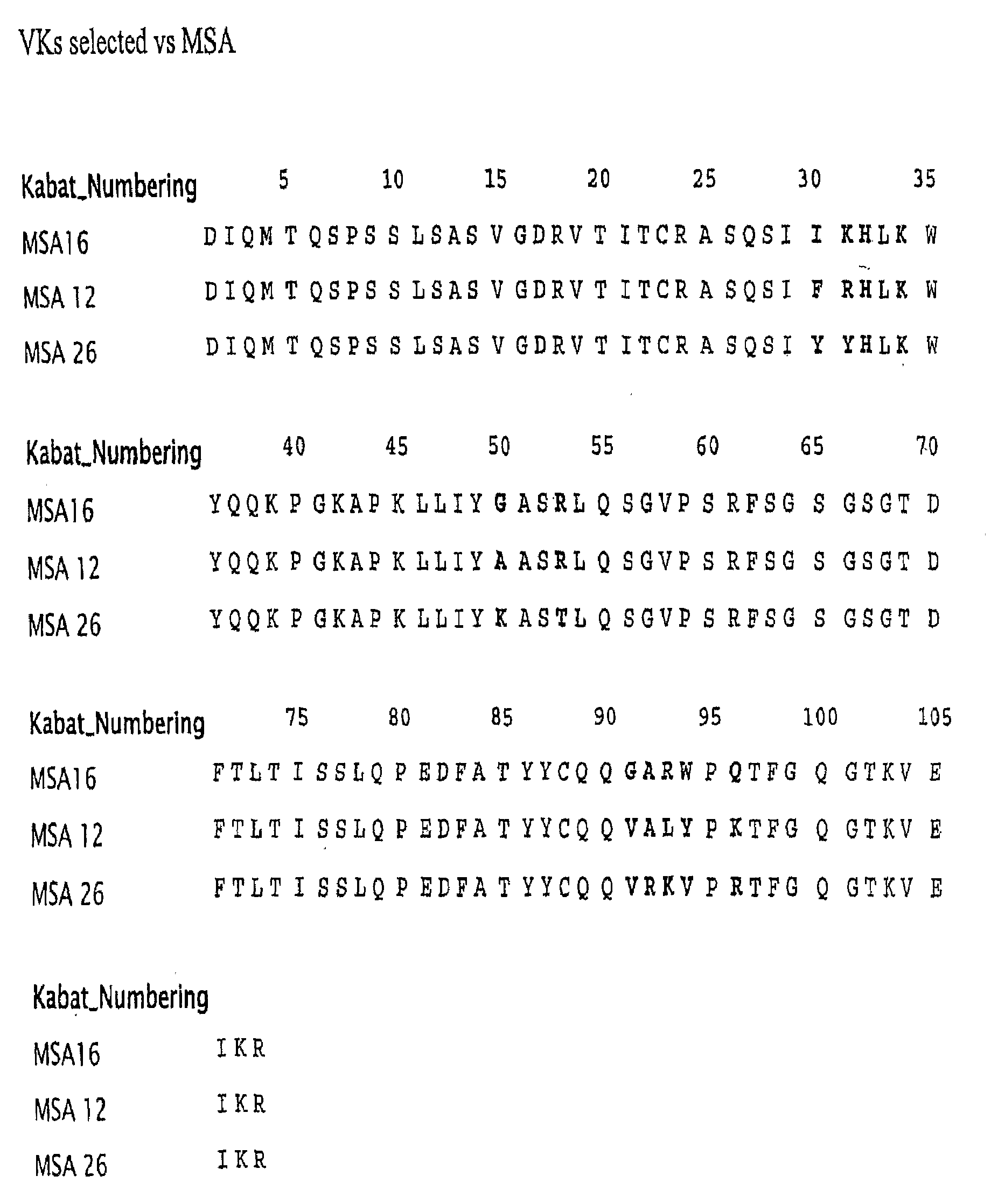 Bispecific Fusion Antibodies With Enhanced Serum Half-Life