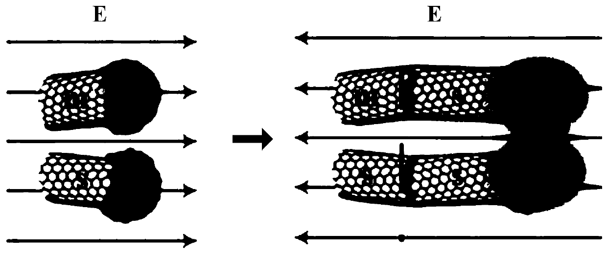 thin film transistor