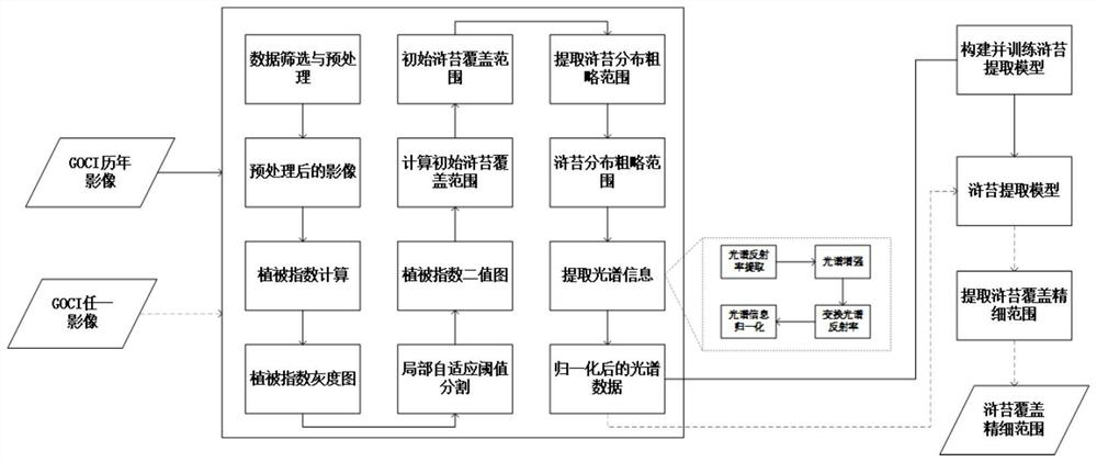 Medium-low resolution remote sensing image enteromorpha coverage information fine extraction method