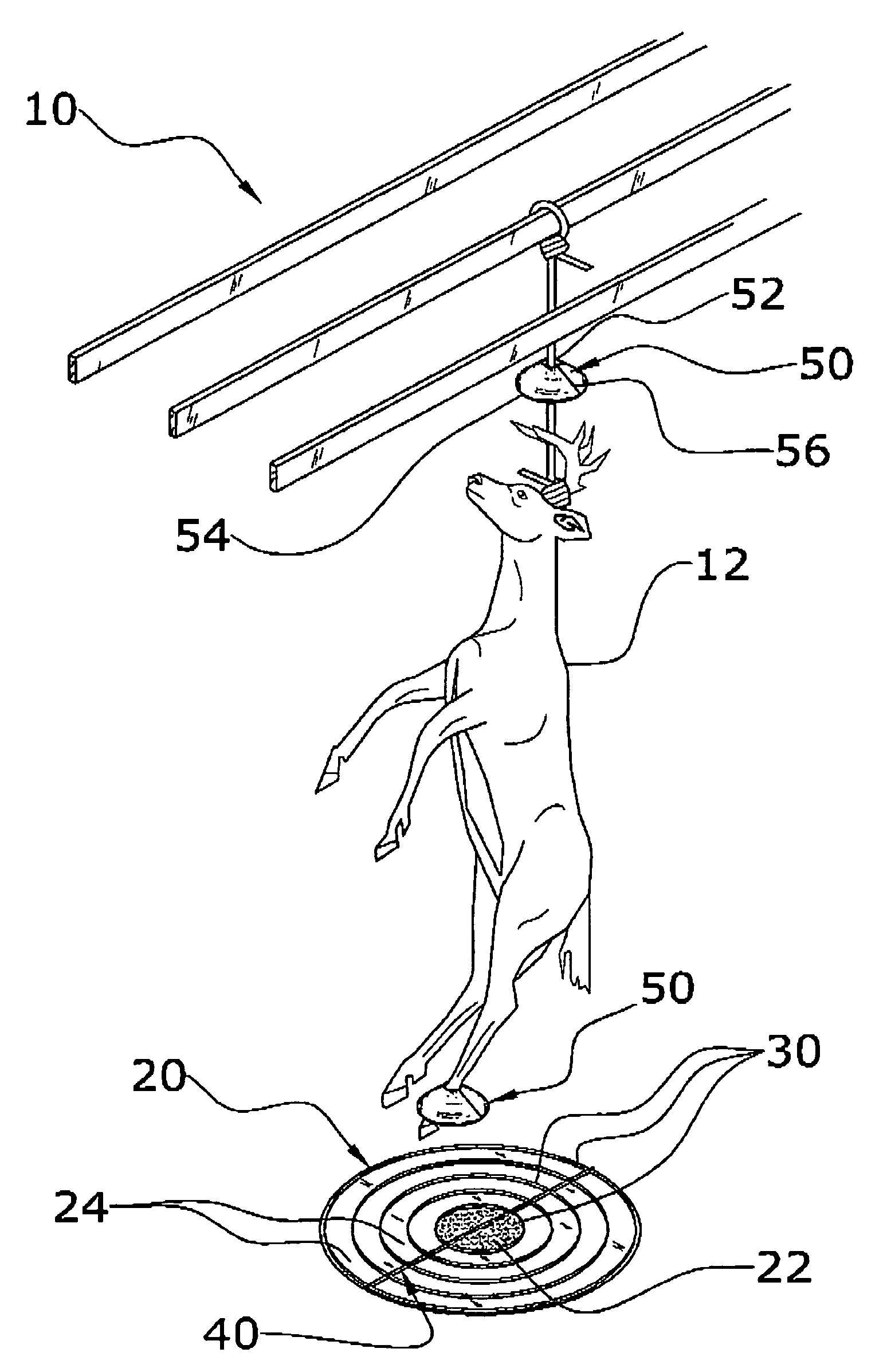 Insect trap system