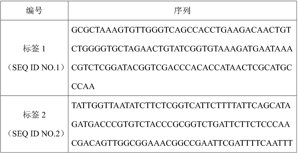 Identification method for sequencing sample and application thereof