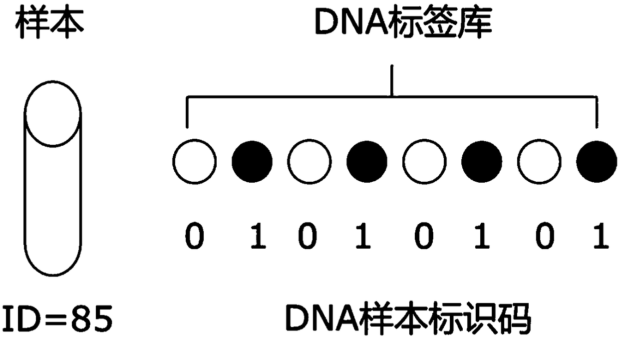 Identification method for sequencing sample and application thereof