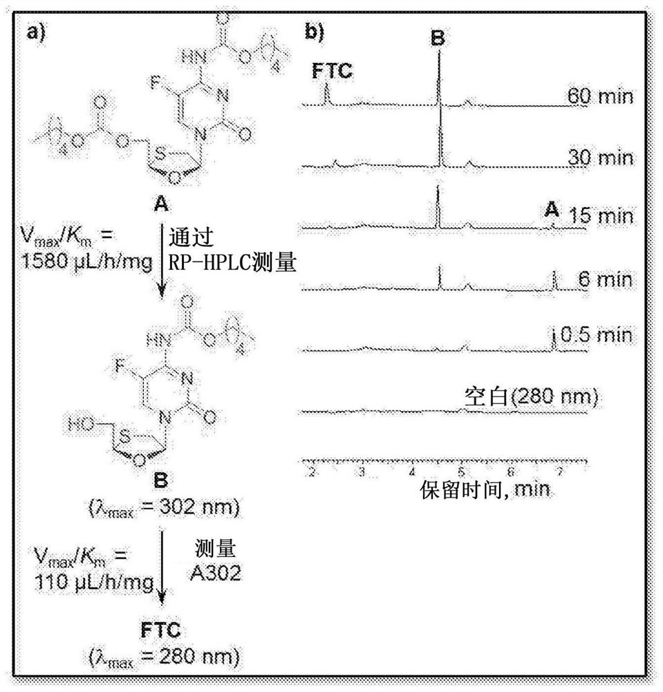 Nrti therapies