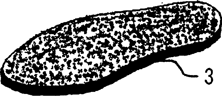 Middle sole and its production process and shoes with the middle sole