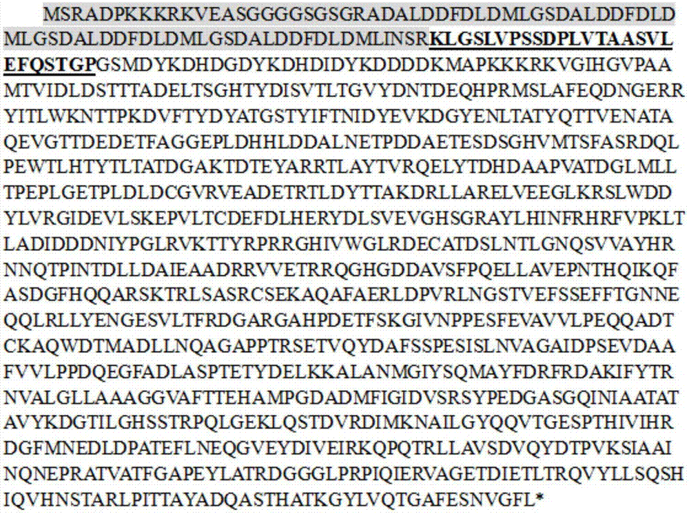 Method for targetedly activating gene transcription on basis of natronobacterium gregoryi Argonaute