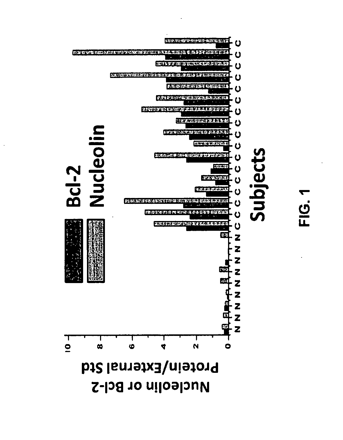 Human Monoclonal Antibodies to Human Nucleolin