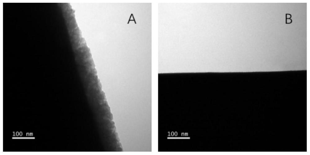 Mesoporous sponge spicule as well as preparation method and application of mesoporous sponge spicule