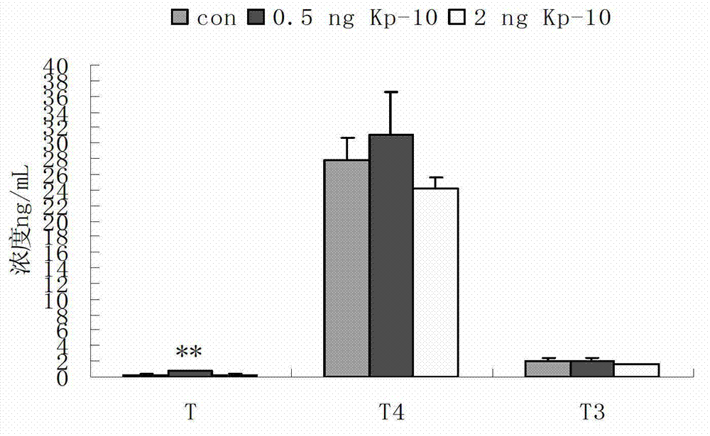 Method for bringing forward sexual maturity of cock