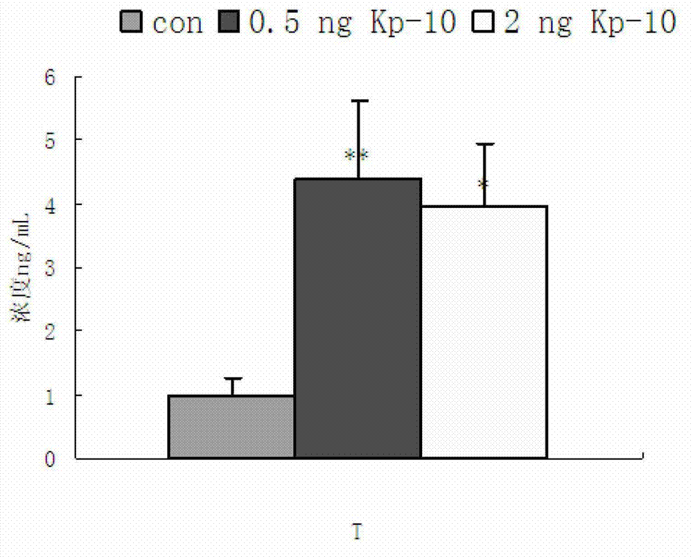 Method for bringing forward sexual maturity of cock