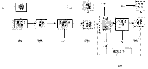 Method for producing citric acid by continuous fermentation of Aspergillus niger