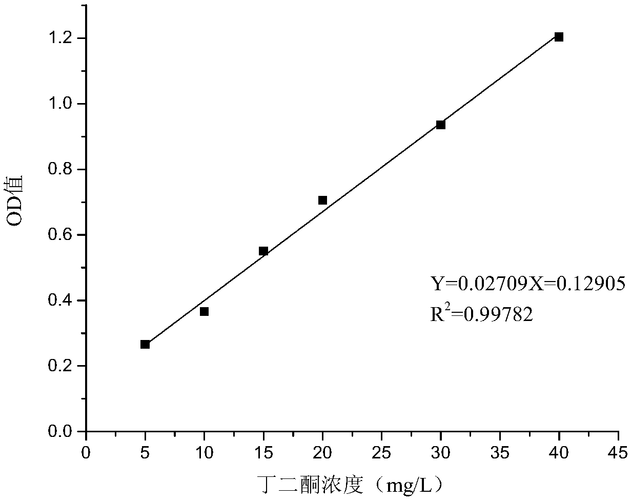 Yoghurt starter with endogenous flavoring and preparation method and application thereof