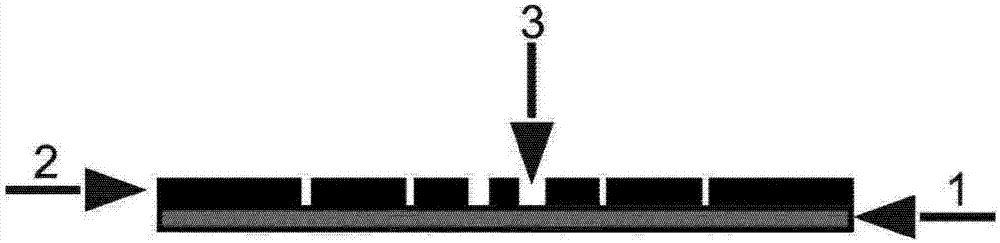 Method for producing oval vortex light of amplitude modulator