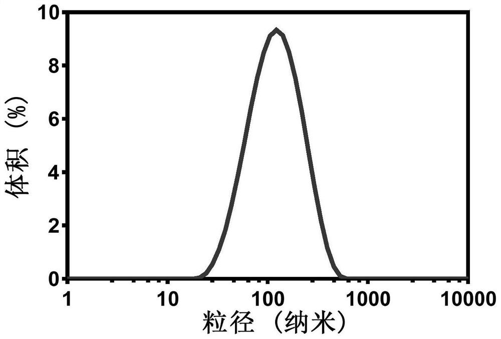 Composite nano material based on ferrocene and hypericin, preparation method and application