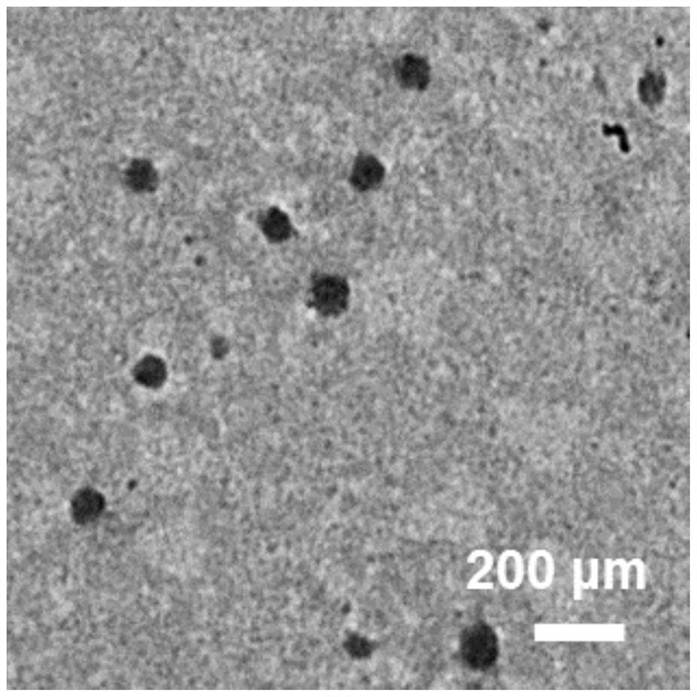 Composite nano material based on ferrocene and hypericin, preparation method and application