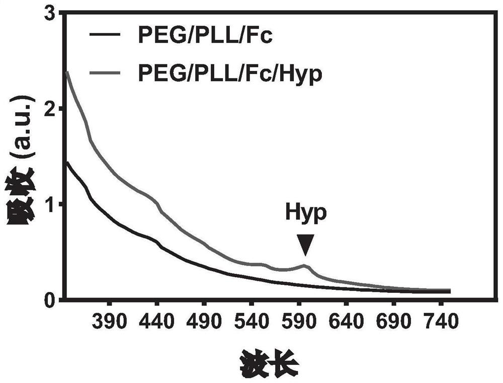 Composite nano material based on ferrocene and hypericin, preparation method and application